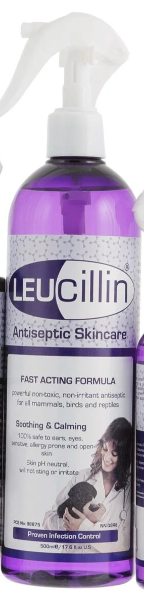 Leucillin Antiseptic Solution