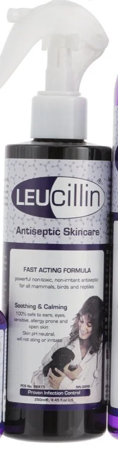 Leucillin Antiseptic Solution