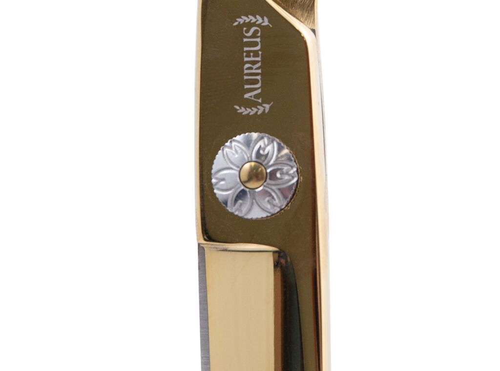 DezynaDog Aureus Gold Curved 8" Scissors