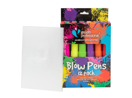 Creative Blow Pens (12) With Stencils