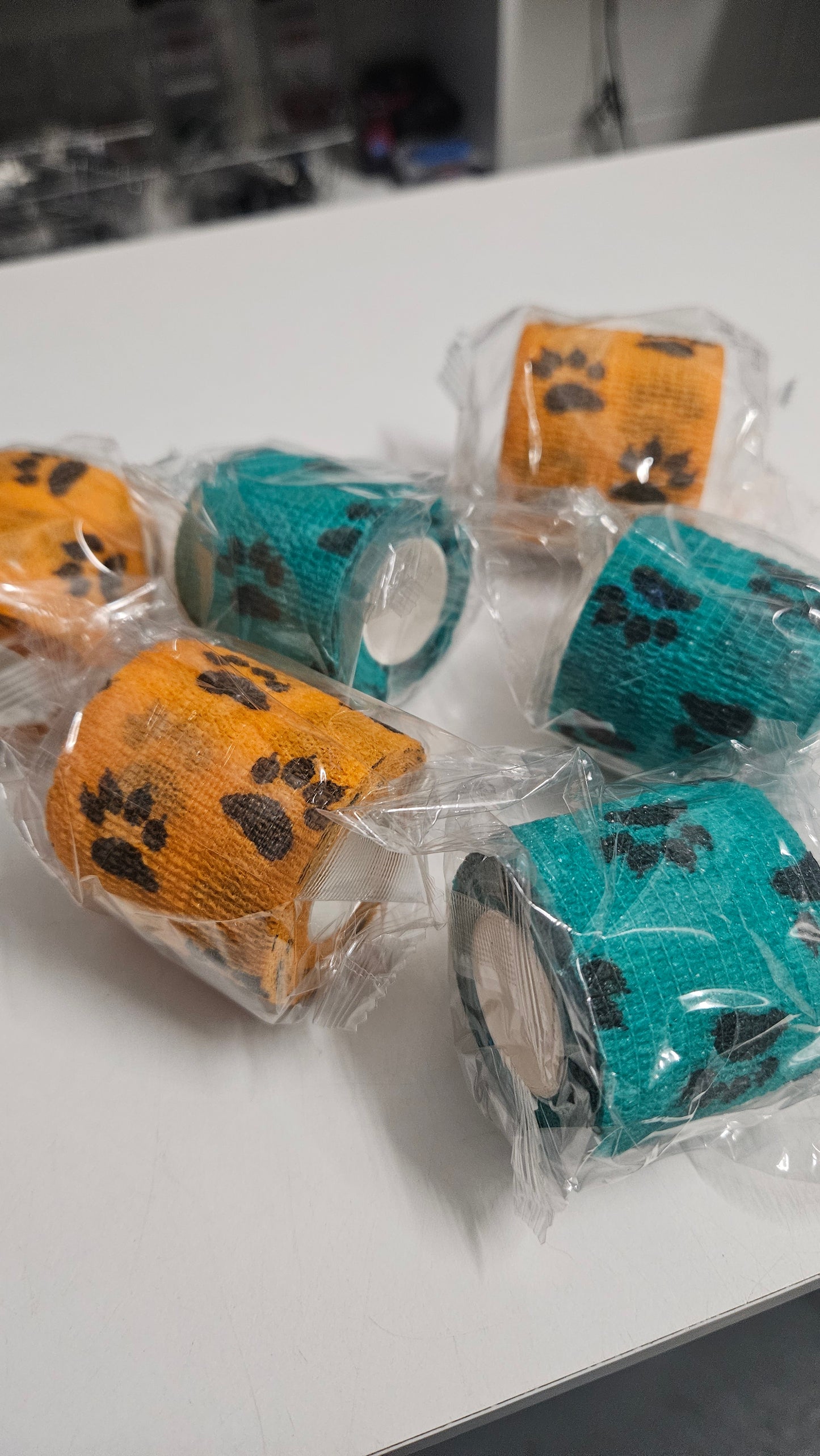 Paw Print Bandage Small