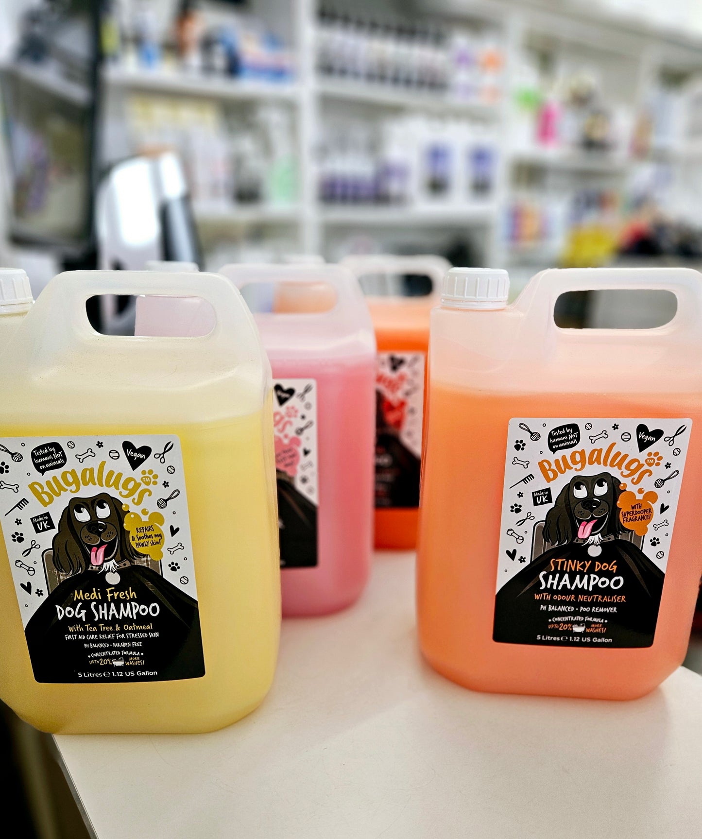 bugalugs best dog shampoo for tangles